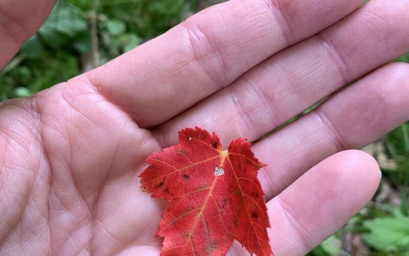 Movement Meditation-Ready for Change